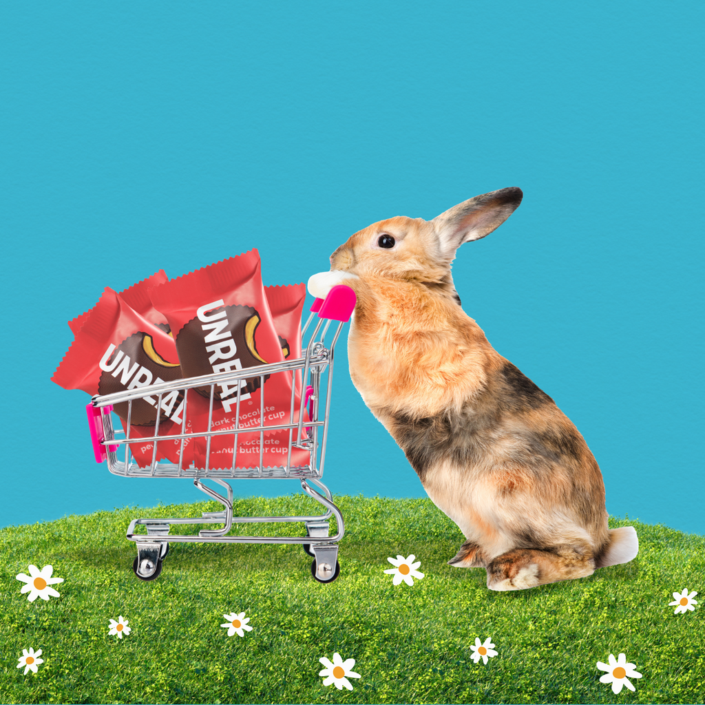 Brown rabbit pushing a small shopping cart filled with UNREAL candy wrappers on grassy hill against a blue background